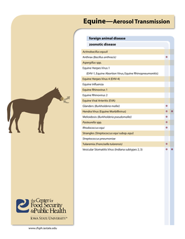 Equine—Aerosol Transmission