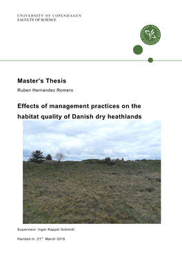 Master's Thesis Effects of Management Practices on The