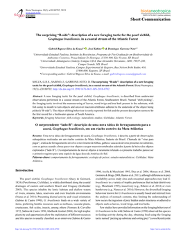 The Surprising “B-Side”: Description of a New Foraging Tactic for the Pearl Cichlid, Geophagus Brasiliensis, in a Coastal Stream of the Atlantic Forest