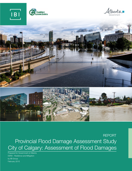 Provincial Flood Damage Assessment Study City of Calgary: Assessment