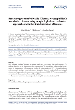 Diptera, Mycetophilidae): Association of Sexes