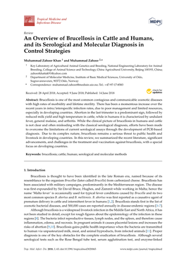 An Overview of Brucellosis in Cattle and Humans, and Its Serological and Molecular Diagnosis in Control Strategies