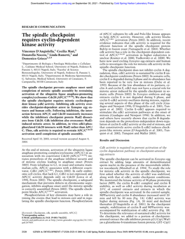 The Spindle Checkpoint Requires Cyclin-Dependent Kinase Activity