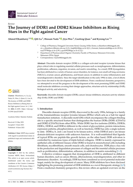 The Journey of DDR1 and DDR2 Kinase Inhibitors As Rising Stars in the Fight Against Cancer