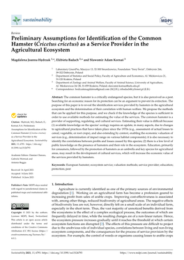 Preliminary Assumptions for Identification of the Common Hamster