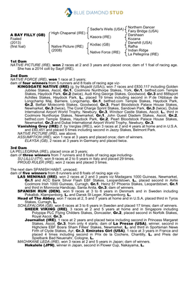 Tattersalls Catalogue Page