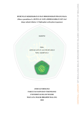 Hubungan Kekerabatan Dan Biogeografi Pisang Raja