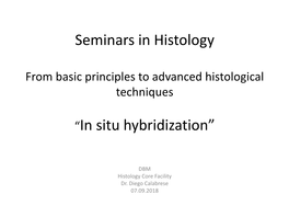 Seminars in Histology “In Situ Hybridization”