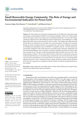 Small Renewable Energy Community: the Role of Energy and Environmental Indicators for Power Grid