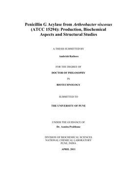 Penicillin G Acylase from Arthrobacter Viscosus (ATCC 15294): Production, Biochemical Aspects and Structural Studies