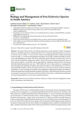 Biology and Management of Pest Diabrotica Species in South America