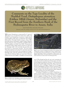 Cfreptiles & Amphibians