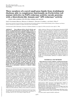 Three Members of a Novel Small Gene-Family From