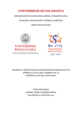 TFG Albert Morera Beita.Pdf (6.963Mb)