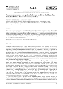 Vanmanenia Maculata, a New Species of Hillstream Loach from the Chang-Jiang Basin, South China (Teleostei: Gastromyzontidae)