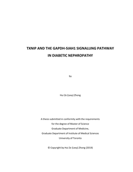 Txnip and the Gapdh-Siah1 Signalling Pathway in Diabetic Nephropathy