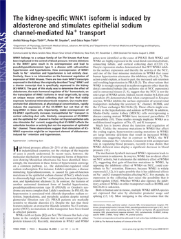 The Kidney-Specific WNK1 Isoform Is Induced by Aldosterone and Stimulates Epithelial Sodium Channel-Mediated Na؉ Transport