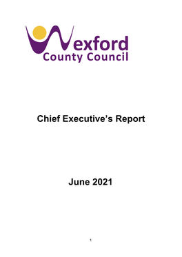 Chief Executive's Report