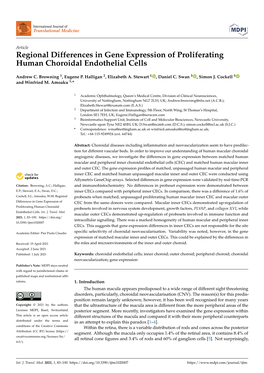 Regional Differences in Gene Expression of Proliferating Human Choroidal Endothelial Cells