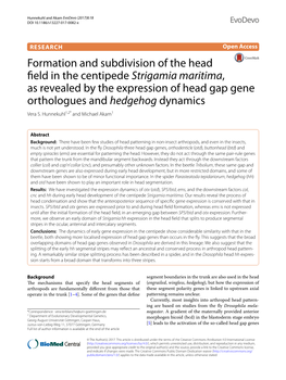 Formation and Subdivision of the Head Field in the Centipede Strigamia