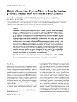 Origin of Honeybees (Apis Mellifera L.) from the Yucatan Peninsula