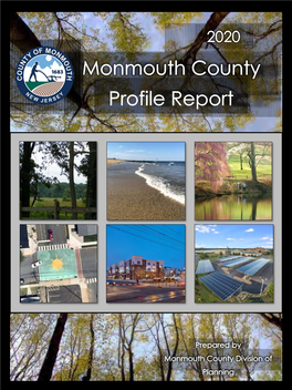 Monmouth County Profile 2020