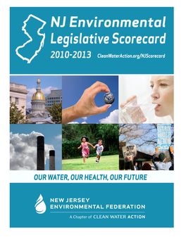 NJ Scorecard Report 2010-2013.Pdf