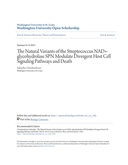 The Natural Variants of the Streptococcus NAD+-Glycohydrolase SPN Modulate Divergent Host Cell Signaling Pathways and Death