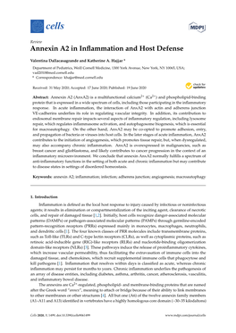 Annexin A2 in Inflammation and Host Defense