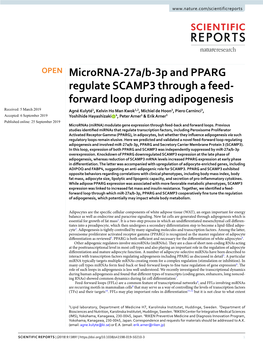 Microrna-27A/B-3P and PPARG Regulate SCAMP3 Through a Feed
