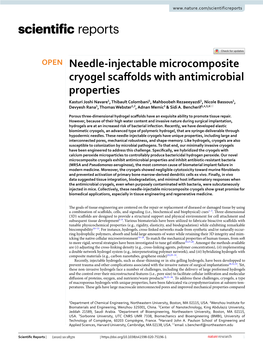 Needle-Injectable Microcomposite Cryogel Scaffolds with Antimicrobial