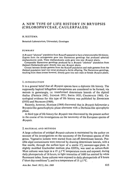 A New Type of Life History in Bryopsis (Chlorophyceae, Caulerpales)