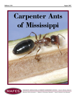 B1158 Capenter Ants of Mississippi