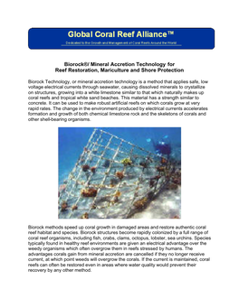 Biorock®/ Mineral Accretion Technology for Reef Restoration, Mariculture and Shore Protection