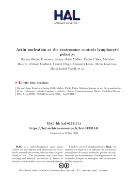 Actin Nucleation at the Centrosome Controls Lymphocyte Polarity