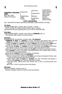 From Moortown Stud Ahonoora Lorenzaccio Helen Nichols Topanoora Topping Girl Sea Hawk II Round Eye Gildoran Rheingold Durtal