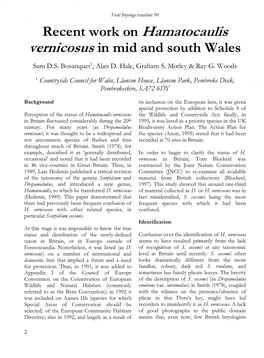 Recent Work on Hamatocaulis Vernicosus in Mid and South Wales