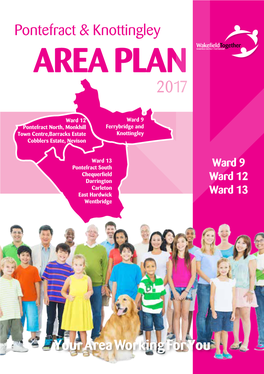 Area Plan 2017