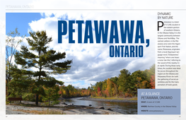 AT a GLANCE PETAWAWA, ONTARIO WHAT: a Town of 17,200