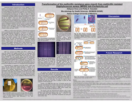 From Methicillin Resistant Staphylococcus Aureus (MRSA)