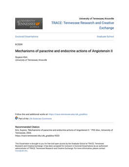Mechanisms of Paracrine and Endocrine Actions of Angiotensin II
