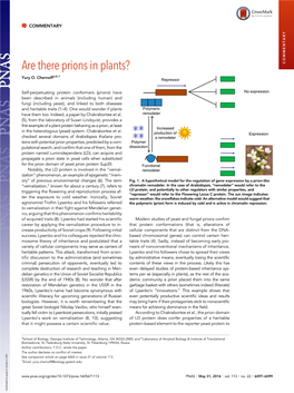 Are There Prions in Plants? COMMENTARY