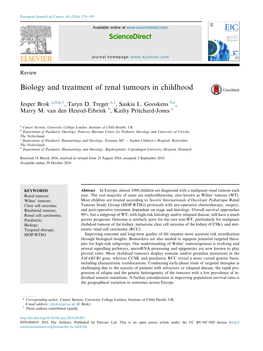 Biology and Treatment of Renal Tumours in Childhood