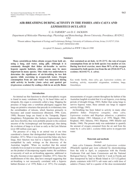 Air-Breathing During Activity in the Fishes Amia Calva and Lepisosteus Oculatus