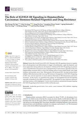 The Role of IGF/IGF-1R Signaling in Hepatocellular Carcinomas: Stemness-Related Properties and Drug Resistance