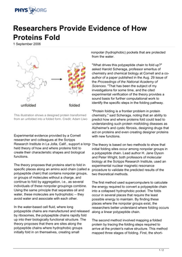 Researchers Provide Evidence of How Proteins Fold 1 September 2006