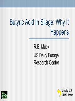 Butyric Acid in Silage: Why It Happens