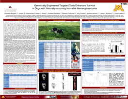 Dogs with Naturally-Occurring Incurable Hemangiosarcoma