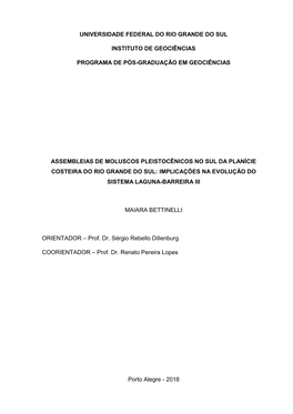 Universidade Federal Do Rio Grande Do Sul Instituto De Geociências Programa De Pós-Graduação Em Geociências