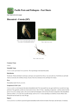 Biocontrol - Cotesia (287)